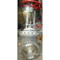 Rising Stem Flange End Gate Valve RF with Stainless Steel